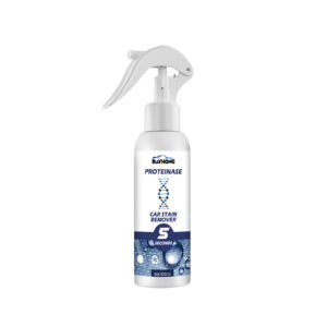 Rayhong fast-acting car interior stain remover safe surface formula for quick cleaning